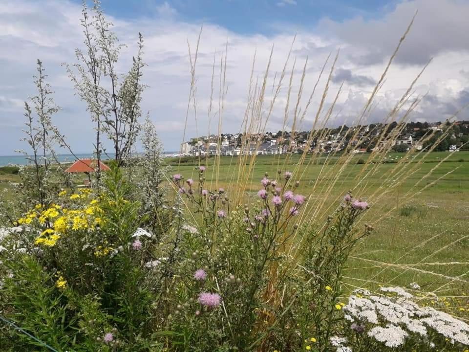 Maison Entiere La Longe'Yeres Saint-Martin-le-Gaillard ภายนอก รูปภาพ